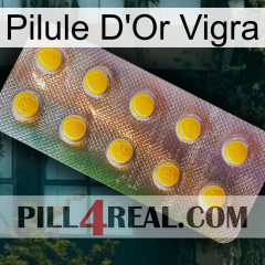 Vigra Gold Pill new11